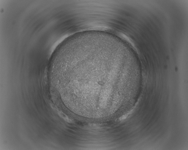 X0000067900875200604271850