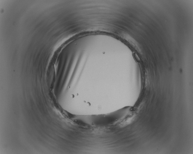 X0000067900876200604271850