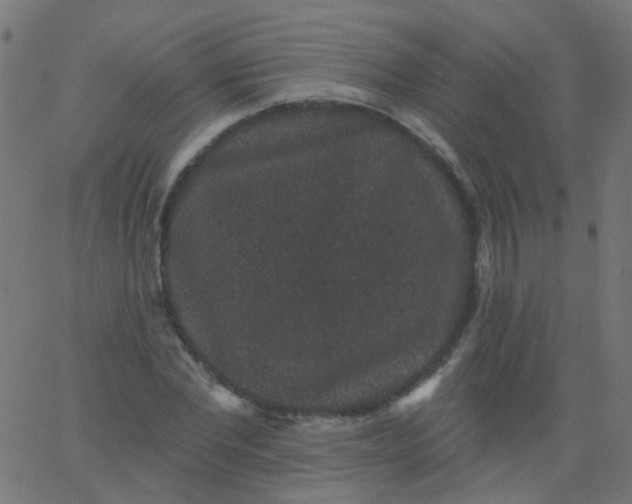 X0000067900877200604271850