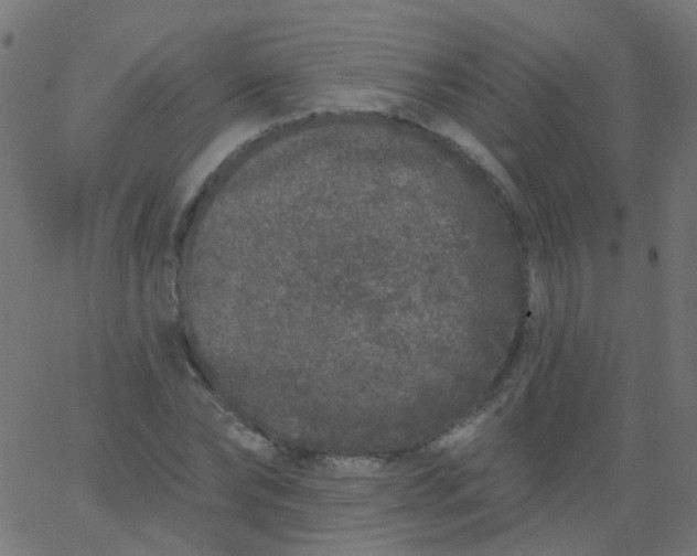 X0000067900878200604271850