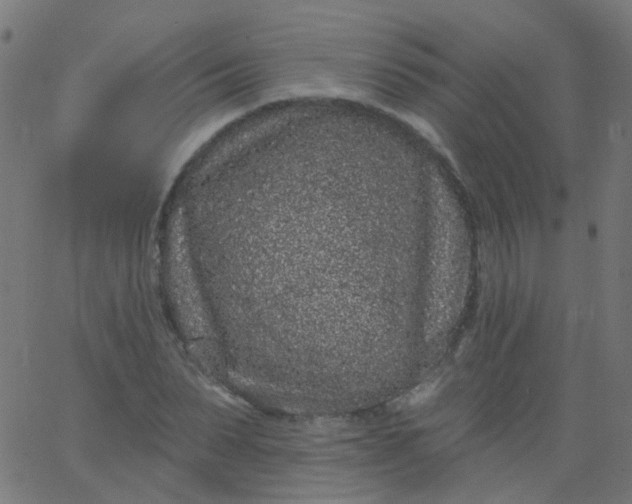 X0000067900879200604271850