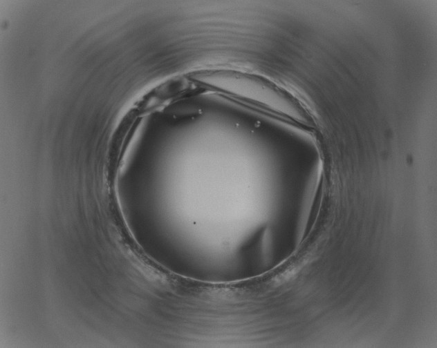 X0000067900880200604271850