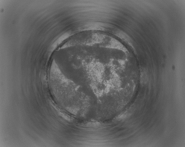 X0000067900882200604271850