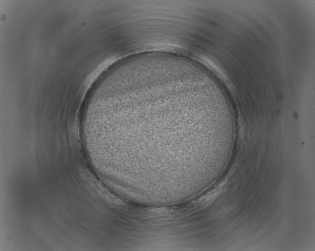 X0000067900883200604271850