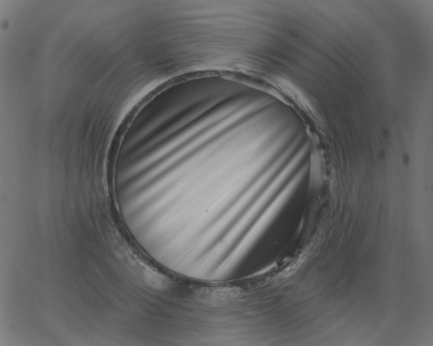 X0000067900884200604271850