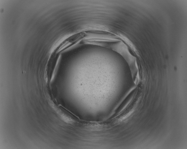 X0000067900885200604271850