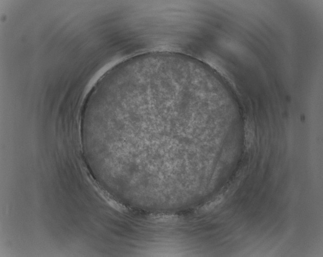 X0000067900886200604271850