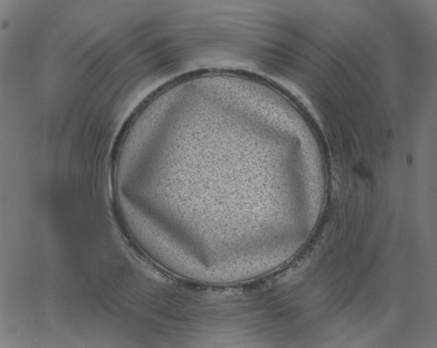 X0000067900887200604271850