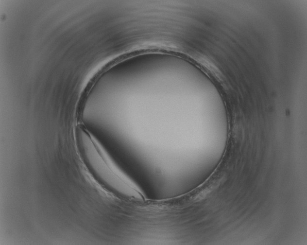 X0000067900888200604271850