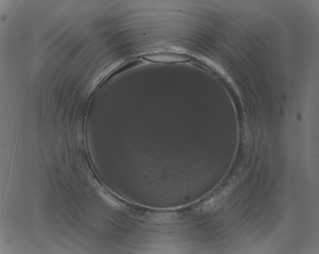 X0000067900889200604271850