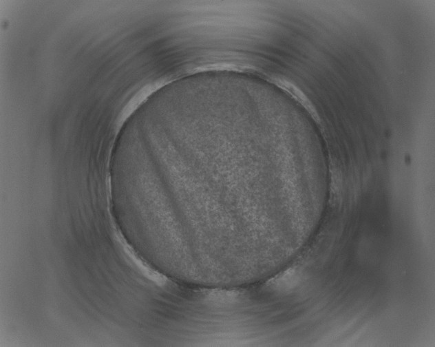 X0000067900890200604271850