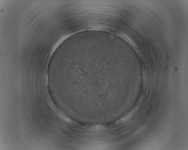 X0000067900891200604271849