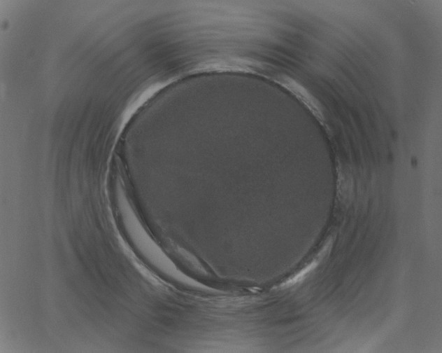 X0000067900893200604271849