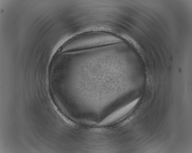 X0000067900894200604271849