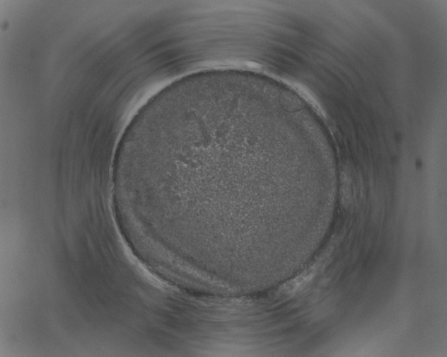 X0000067900895200604271849