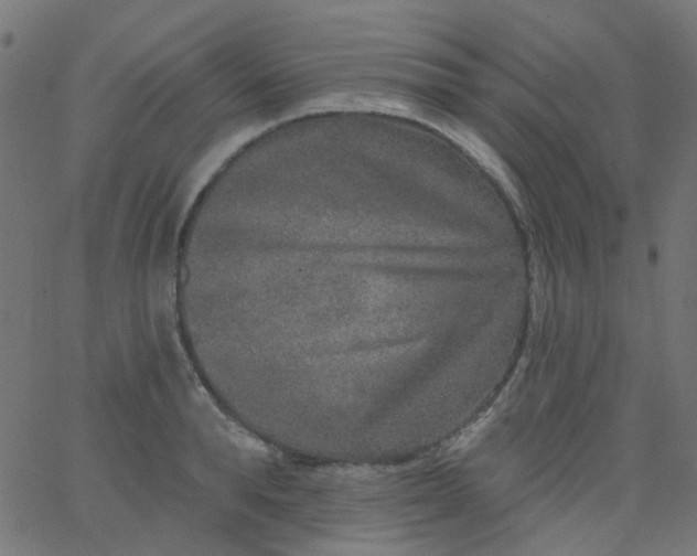 X0000067900896200604271849