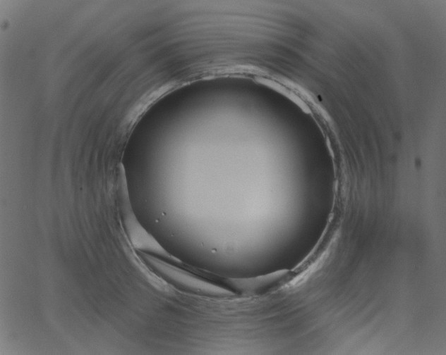 X0000067900897200604271849