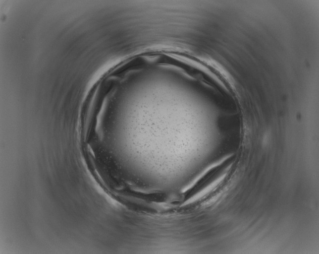 X0000067900902200604271849