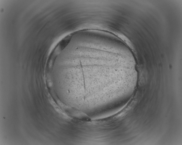 X0000067900904200604271849