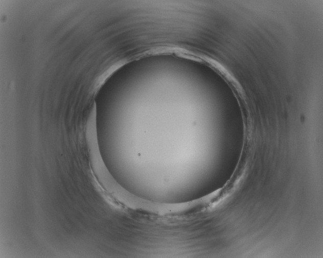 X0000067900905200604271849