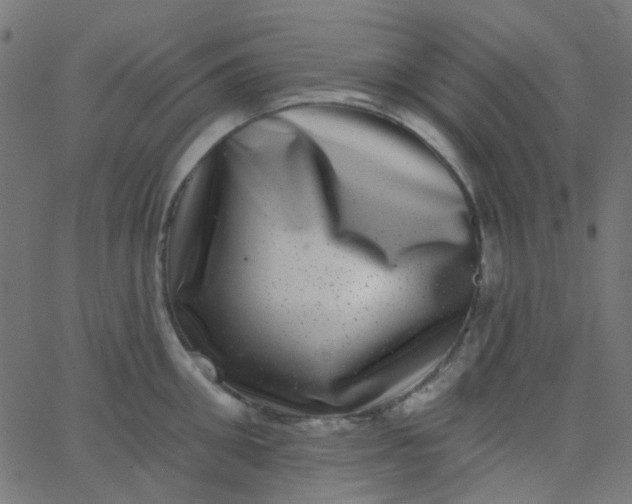 X0000067900906200604271849