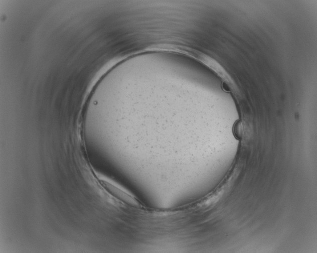 X0000067900908200604271849