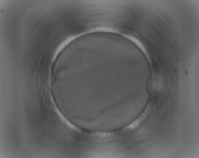 X0000067900910200604271849