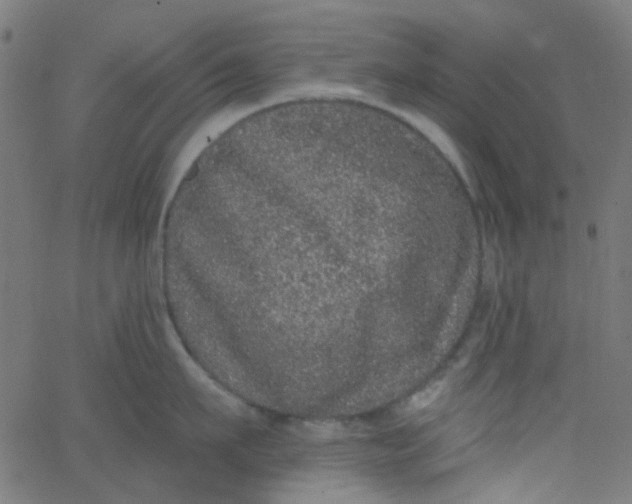 X0000067900911200604271849