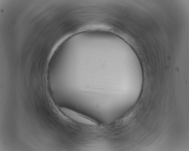 X0000067900912200604271849