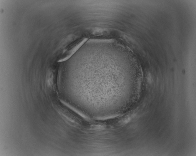 X0000067900914200604271848