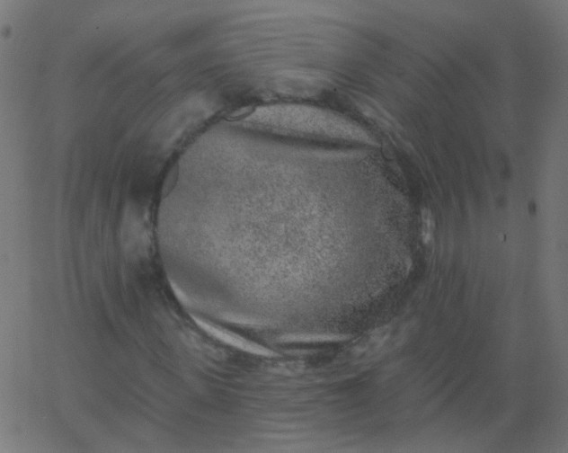 X0000067900915200604271848