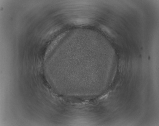 X0000067900917200604271848