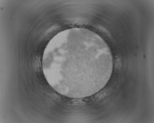 X0000067900918200604271848