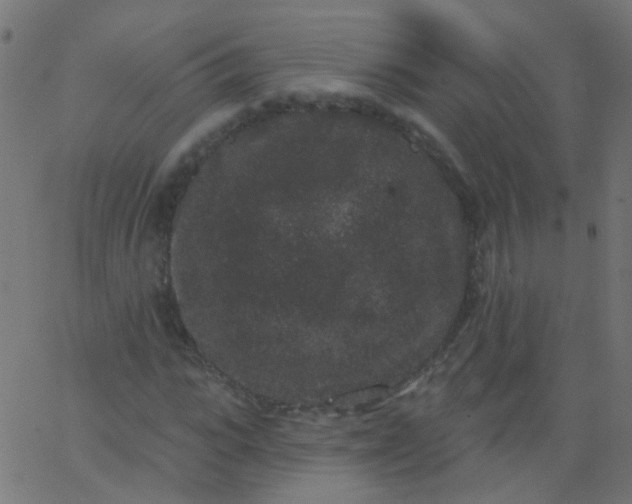 X0000067900919200604271848