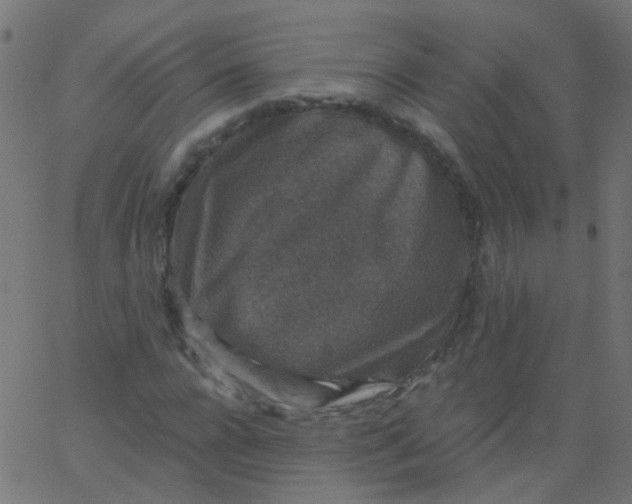 X0000067900920200604271848