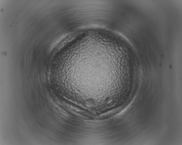 X0000067900921200604271849