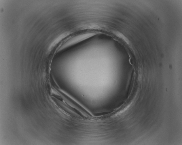 X0000067900922200604271849