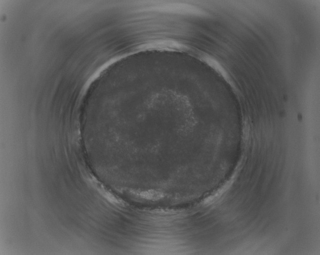 X0000067900923200604271849