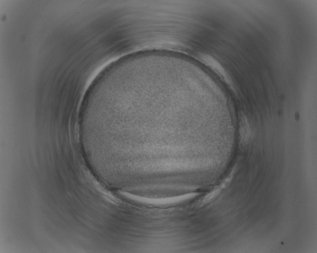 X0000067900924200604271849