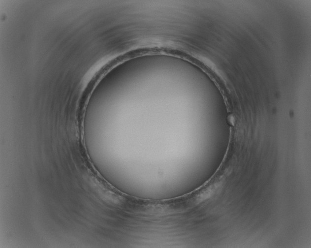 X0000067900927200604271849