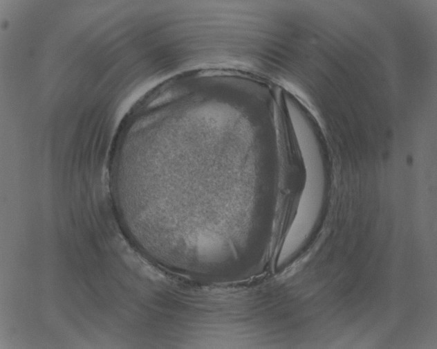 X0000067900928200604271849