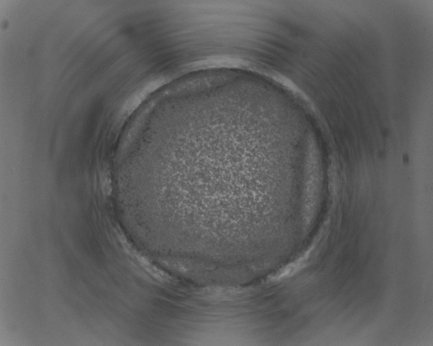 X0000067900929200604271849