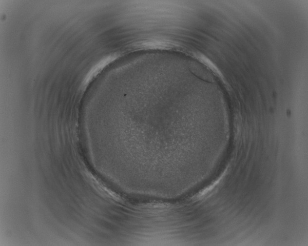 X0000067900930200604271849