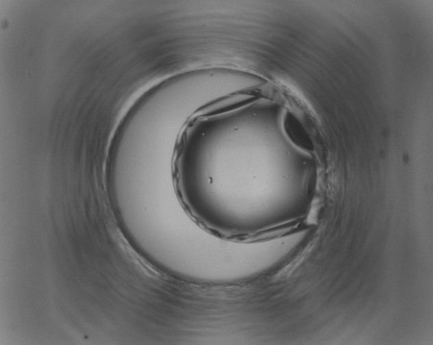 X0000067900932200604271849