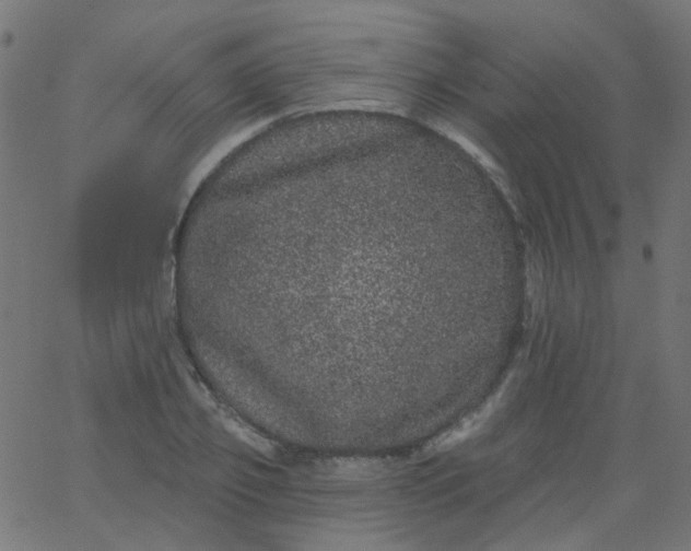 X0000067900933200604271849