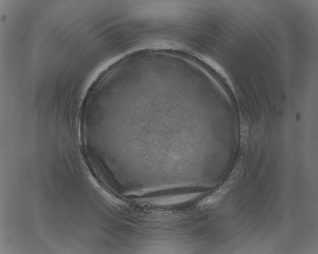 X0000067900935200604271849