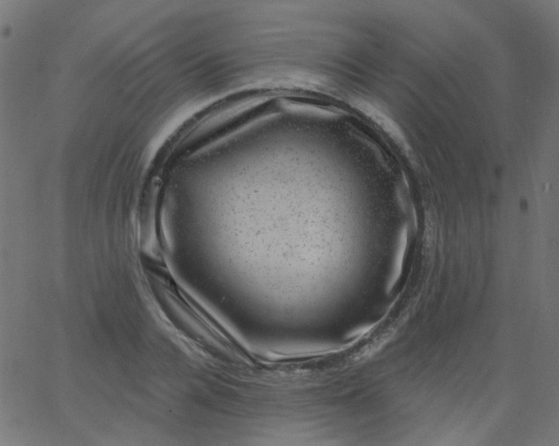 X0000067900936200604271849