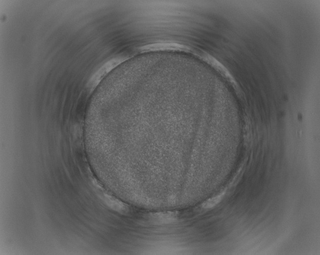 X0000067900937200604271849