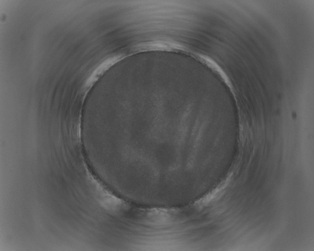 X0000067900938200604271849