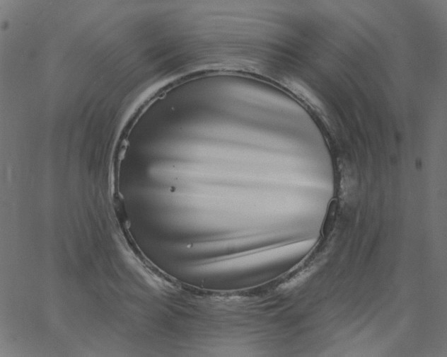 X0000067900940200604271849